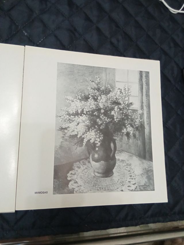 catálogo de pintura de Xavier pousa