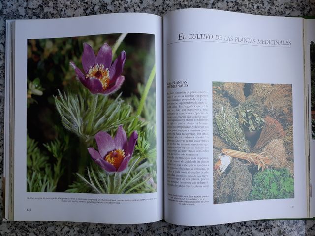 Libro El gran libro de la Jardinería