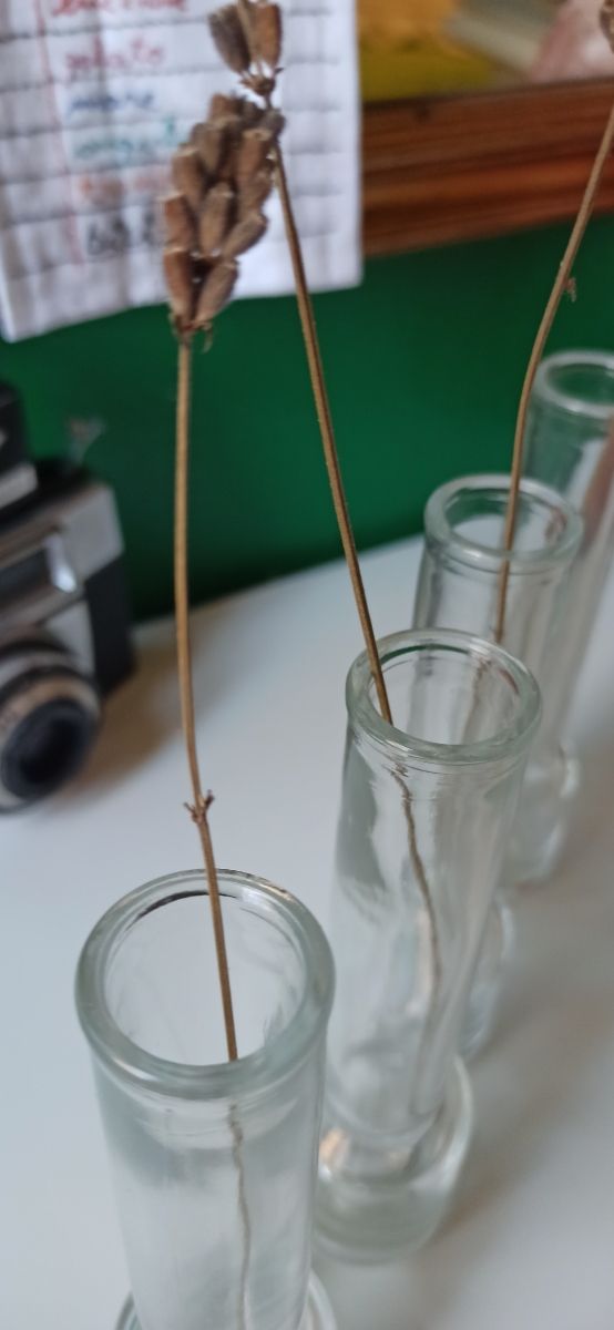 ampolle vintage di vetro decorative