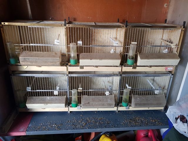 lote de 9 jaulas, usadas