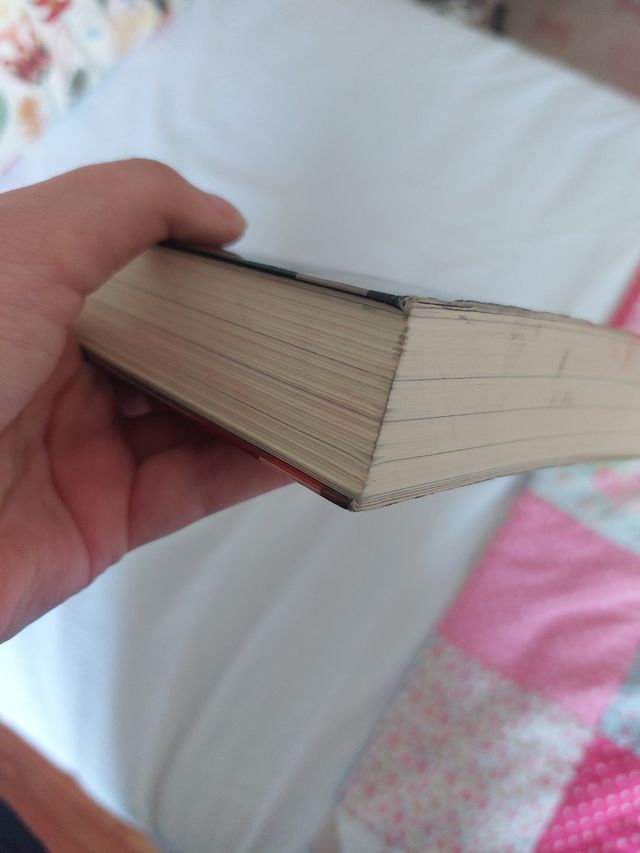 Cenizas (Ilsa J. Bick)