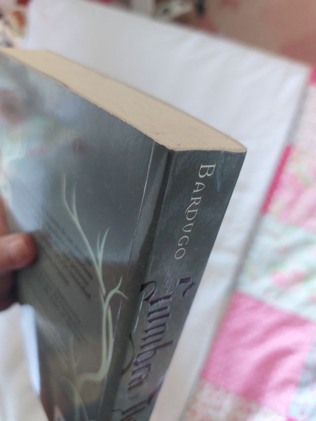 Sombra y Hueso (Leigh Bardugo)