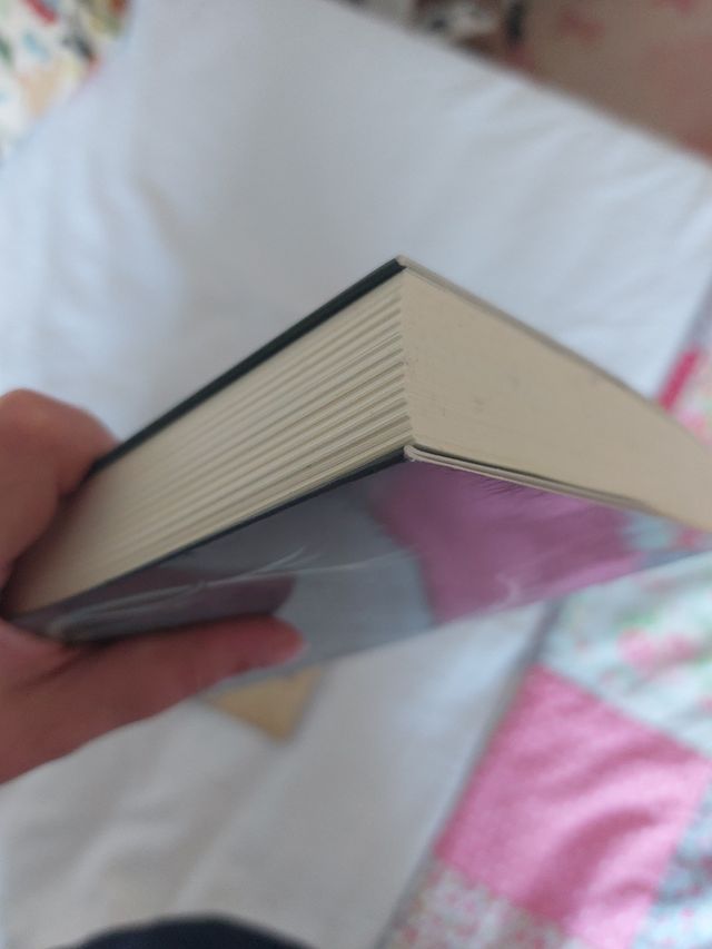 Sombra y Hueso (Leigh Bardugo)