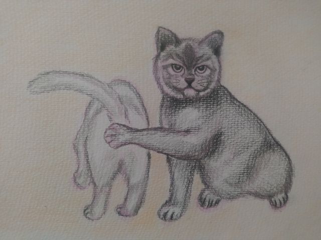 dibujos artísticos, ilustraciones