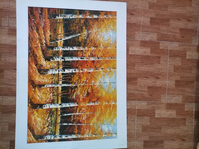 óleos pintados sobre lienzos