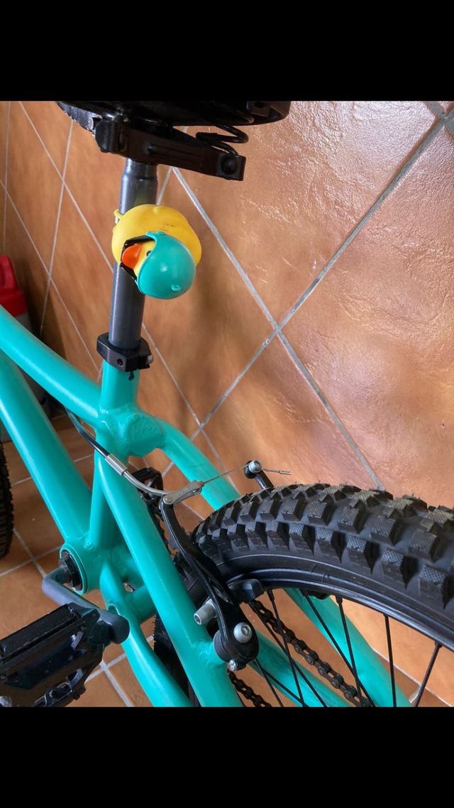 Bicicleta monty personalizada