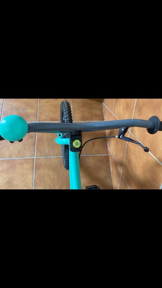 Bicicleta monty personalizada