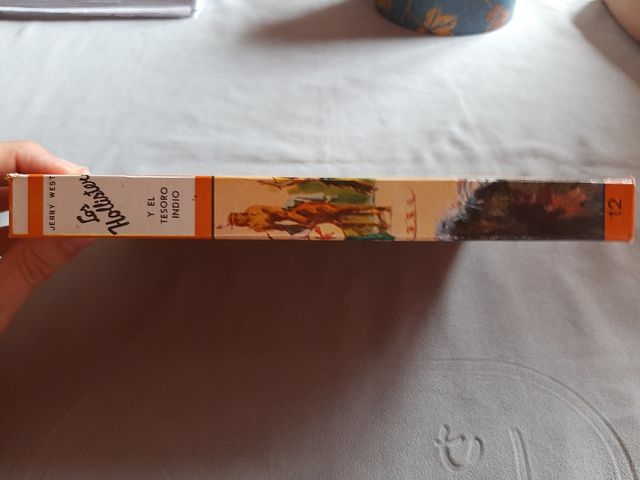 Los Hollister y el tesoro indio n° 12