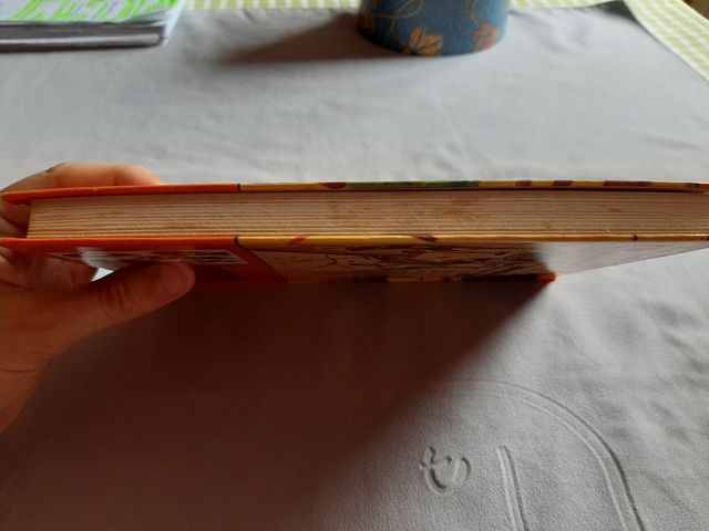 Los Hollister y el tesoro indio n° 12