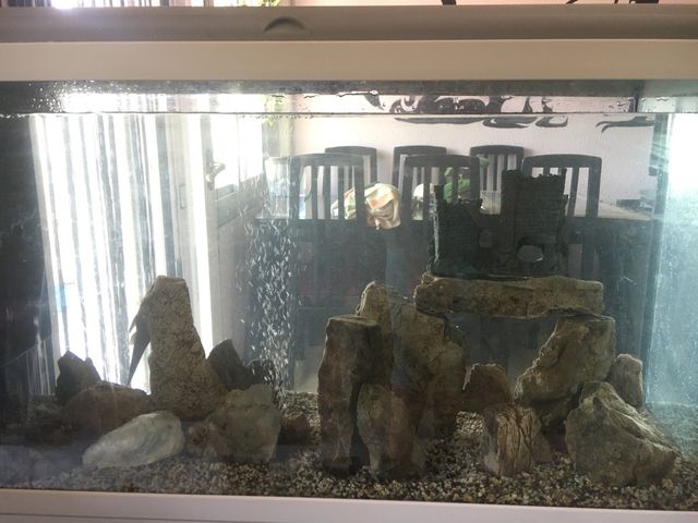 Decoración acuario NEGOCIABLE