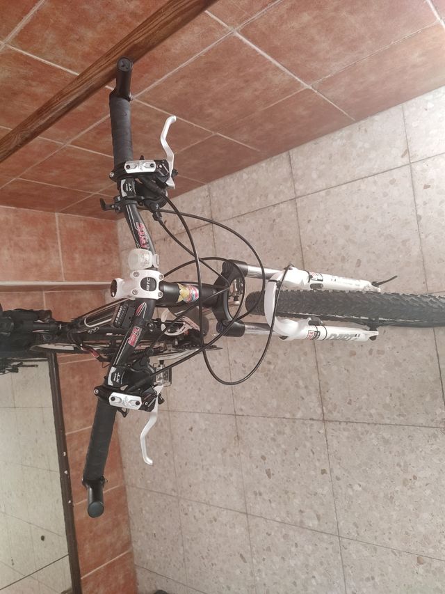 bicicleta bottecchia fx540