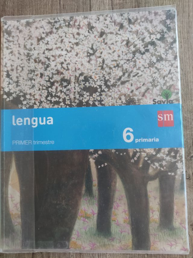 Libros Lengua 6º Primaria SM Savia + ortografía