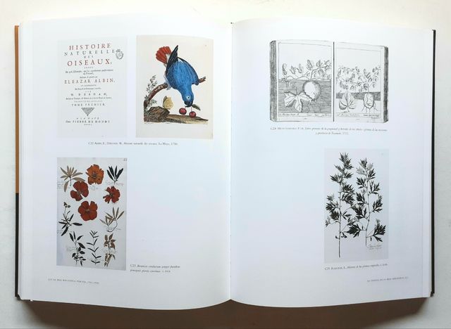 LA REAL BIBLIOTECA PÚBLICA (1711-1760). BNE, 2004