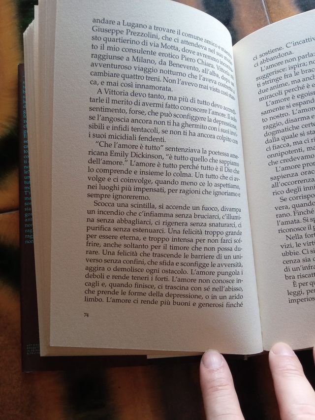 Roberto Gervaso, Ho ucciso il cane nero.
