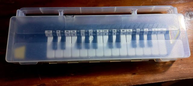 Diamonica 25 Tasti con astuccio - Bontempi