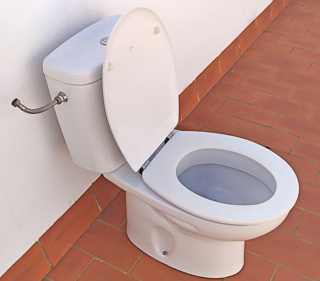 INODORO VICTORIA ROCA COMPLETO CON DOBLE PULSADOR de segunda mano por