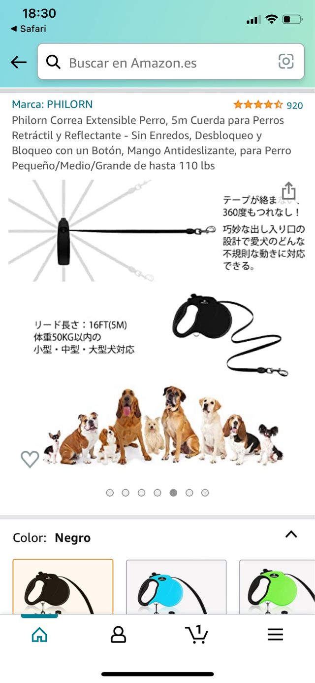 Scopa allungabile Philorn.