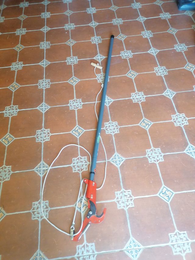 Cortadora podadora extensible