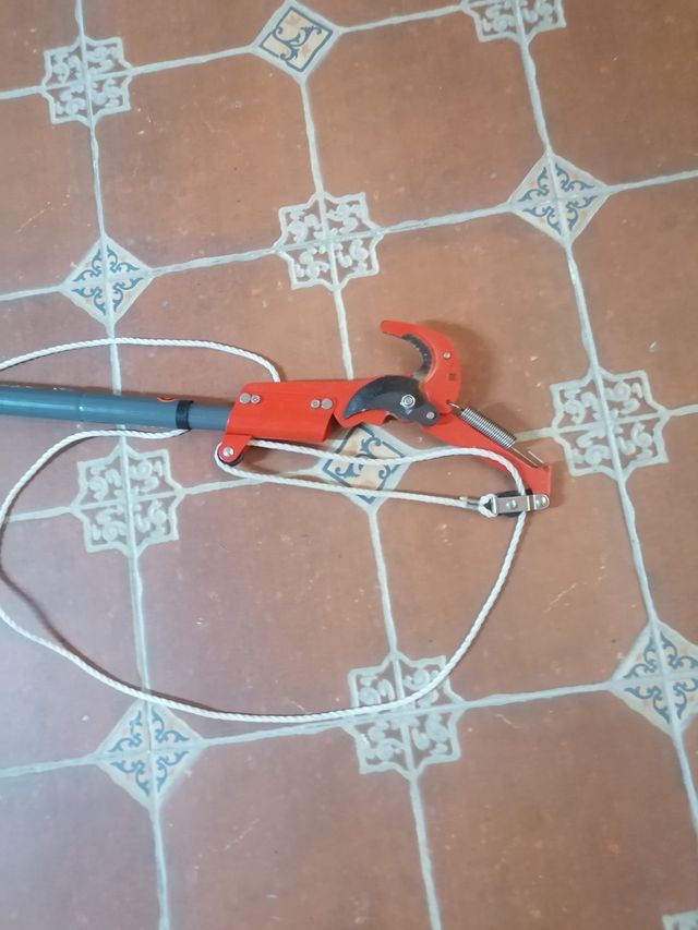 Cortadora podadora extensible