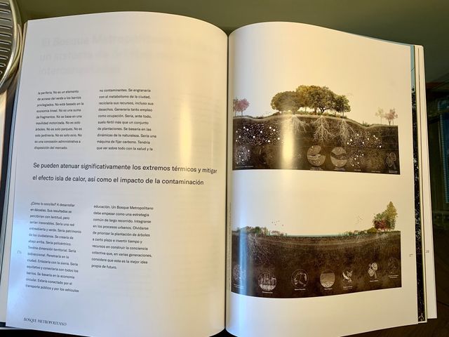 Bosque Metropolitano