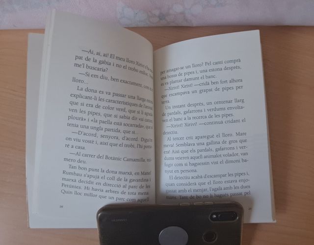 Ni ofici ni benefici, BAULA