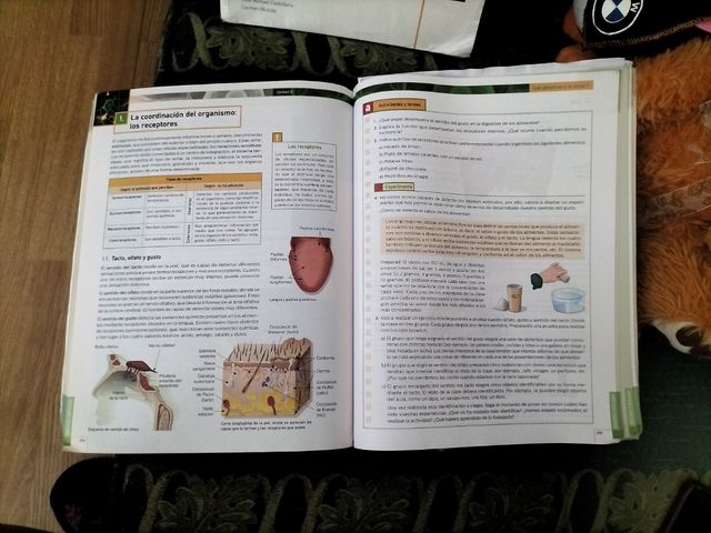 Libros 3° PMAR/Diversificación