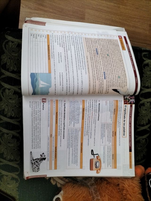 Libros 3° PMAR/Diversificación