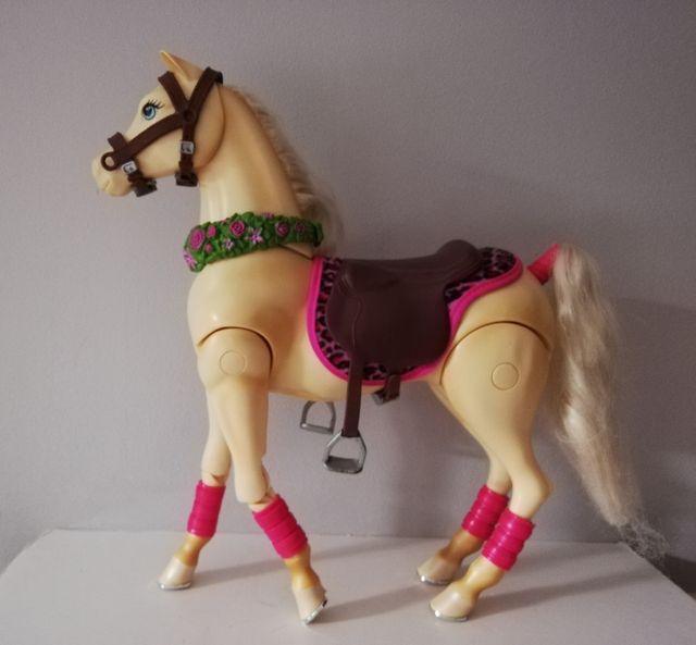 Barbie Amazon con il suo cavallo di seconda mano per 12 EUR su