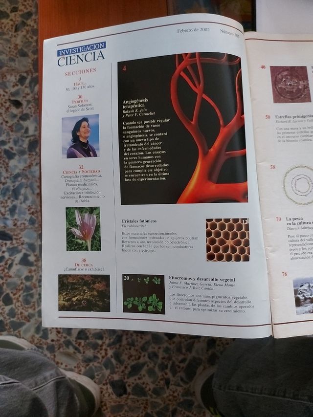 Investigación y Ciencia