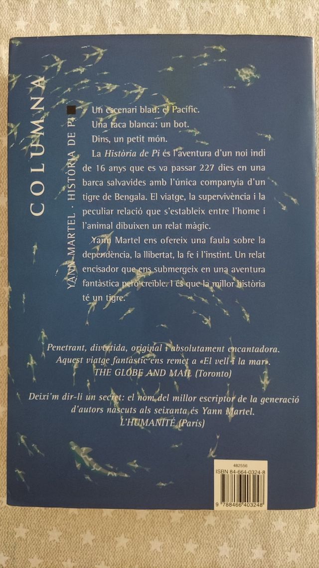 Història de Pi, en català