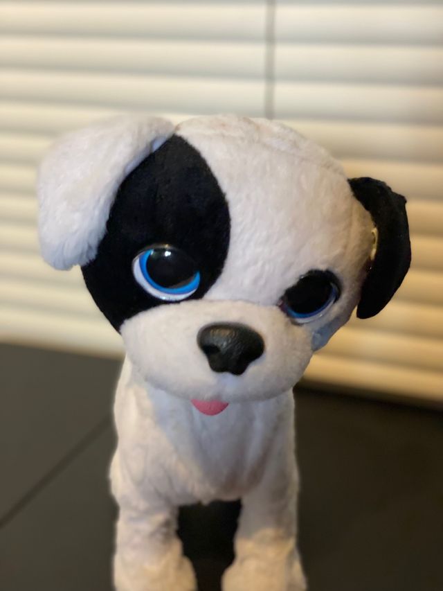 Perrito que salta y ladra