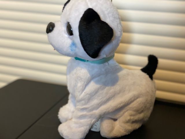 Perrito que salta y ladra