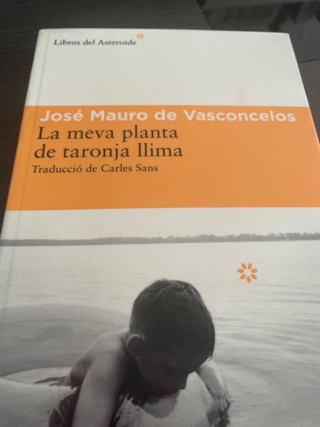 La meva planta de taronja llima