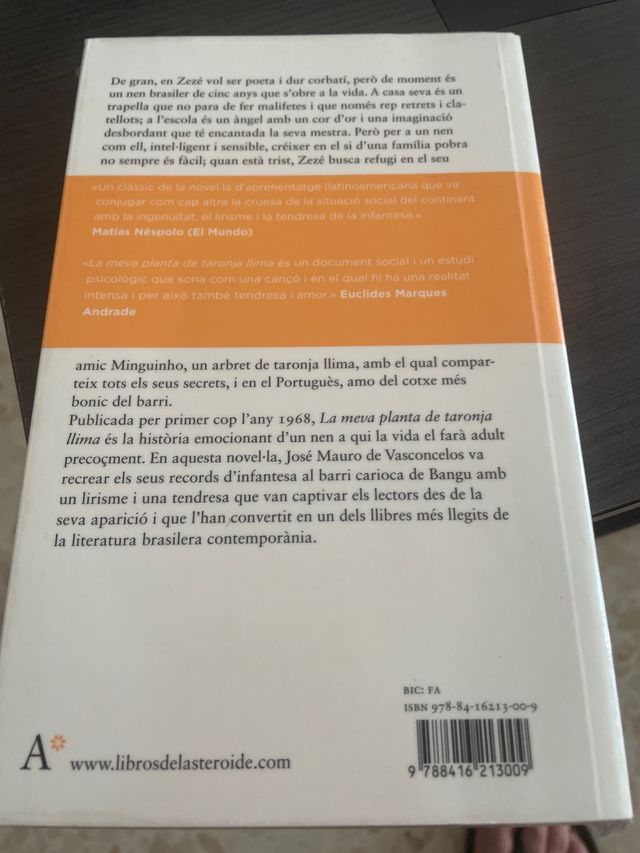 La meva planta de taronja llima