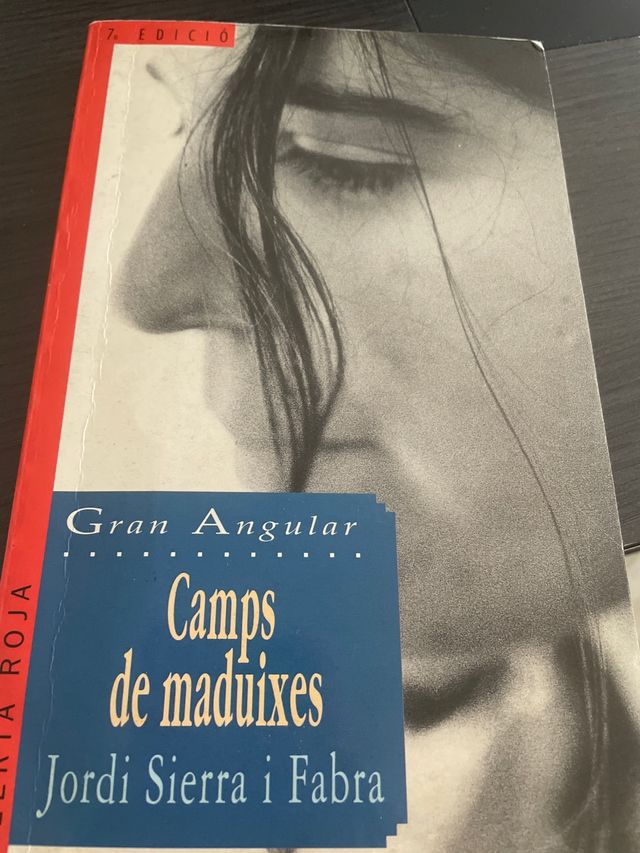 Camps de maduixes