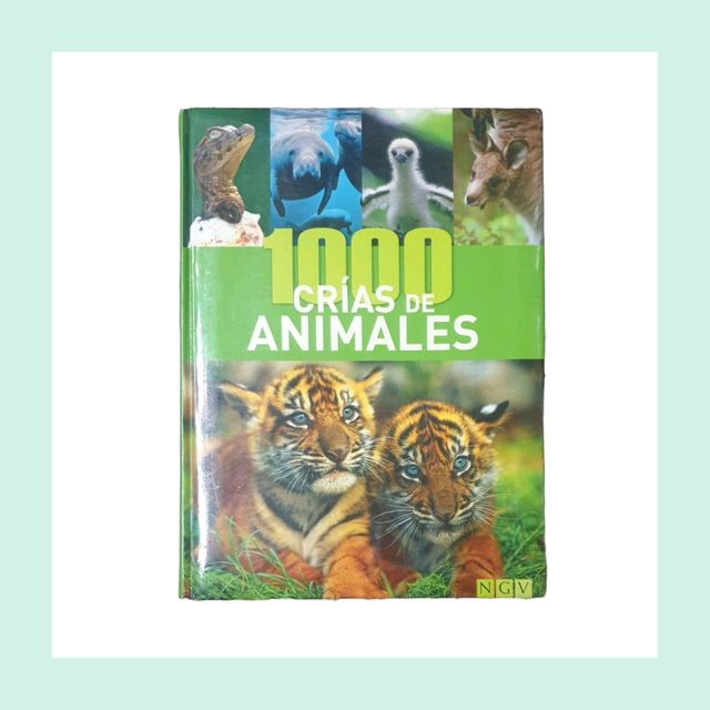 1000 CRÍAS DE ANIMALES NGV