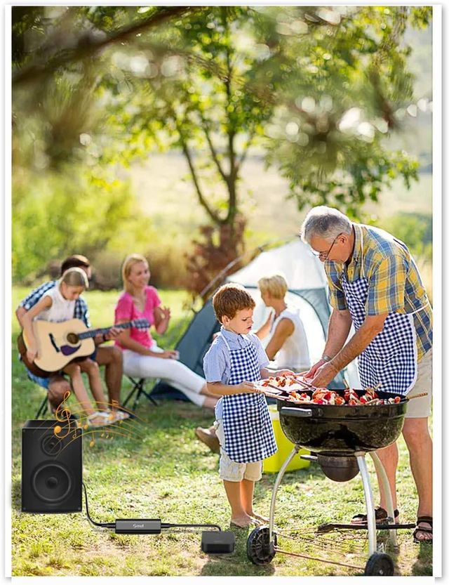 Aislador de Ruido de Bucle de Tierra Jack 3.5mm