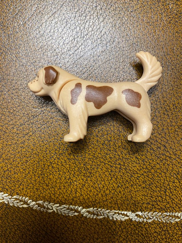 Playmobil Special Series 4750