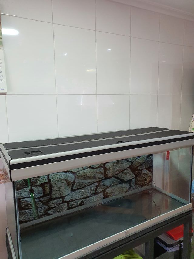 Mantenimiento de acuarios