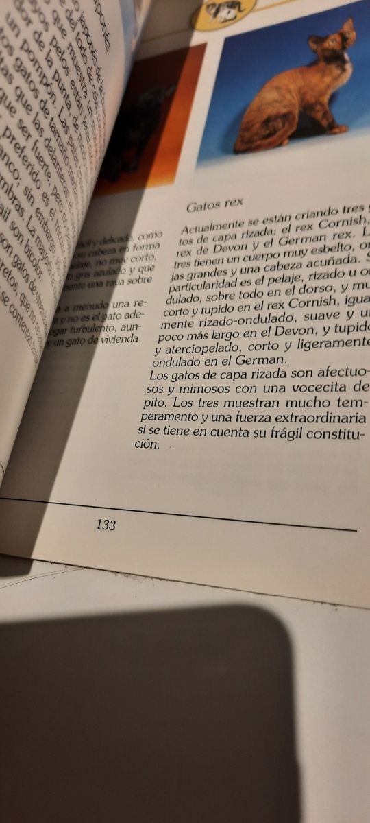 Libro "Nuestro gato"