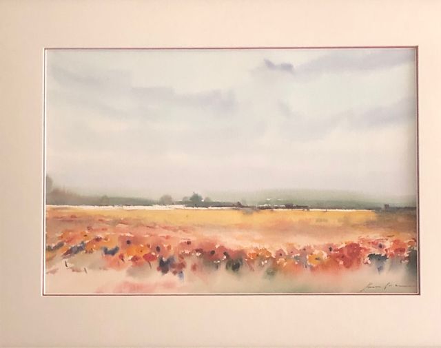 Paisaje de Xavier Galiza original