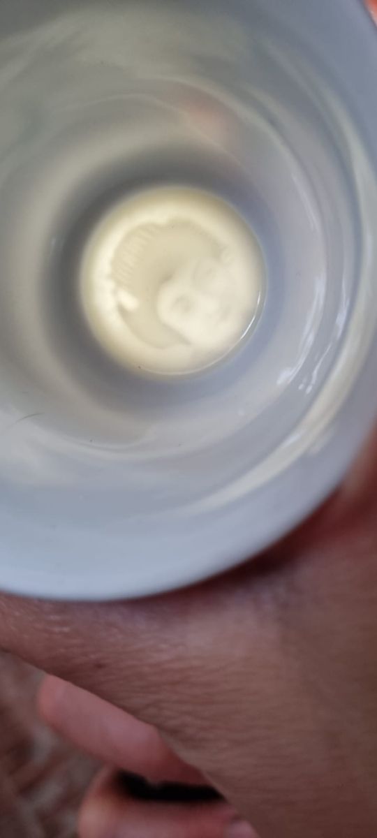 juego de 12 te o café japones