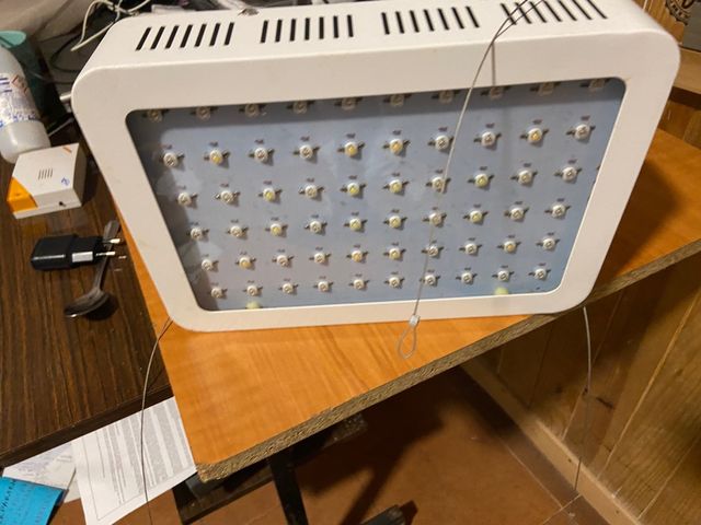 FOCOS LED 600w