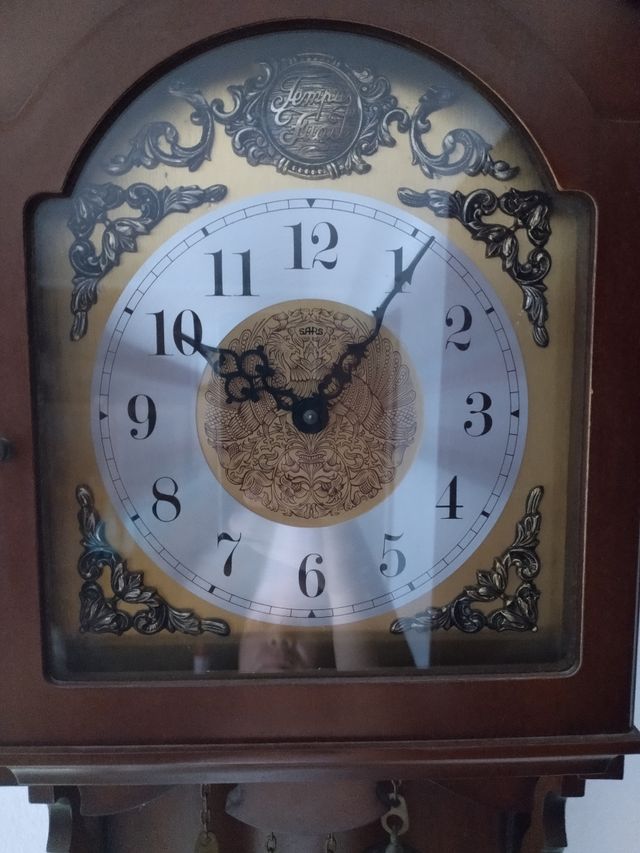 Reloj de pared marca: "Tempus Fugit"