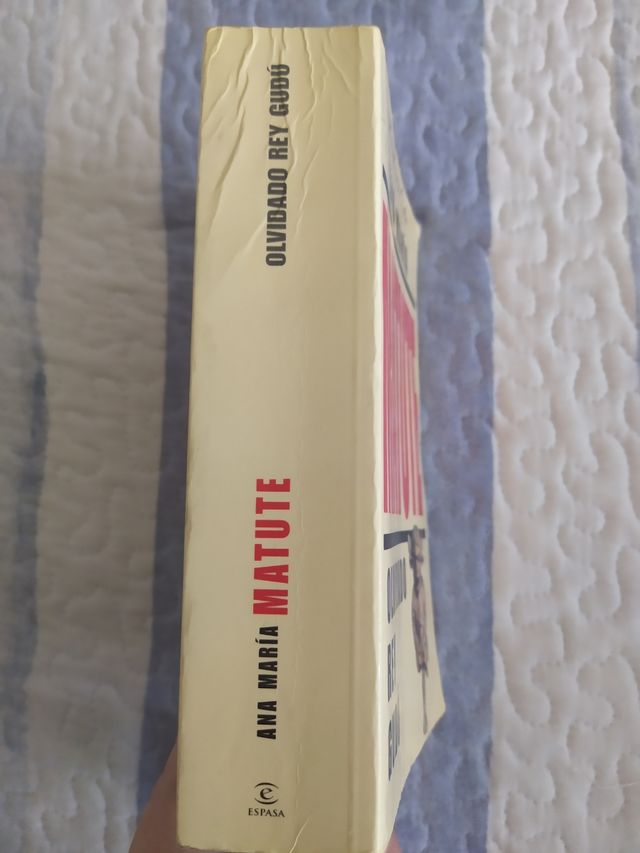 Libro OLVIDADO REY GUDÚ.