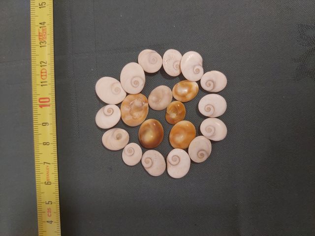 20 Ojos de Chiva, Amuletos buena suerte