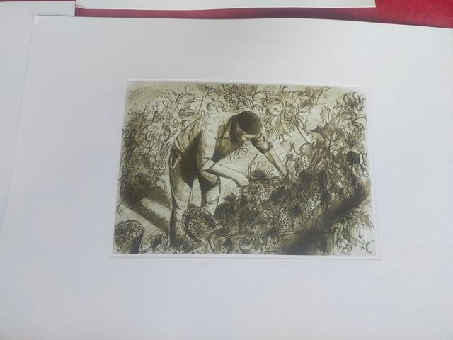 4 láminas en passe-partout 