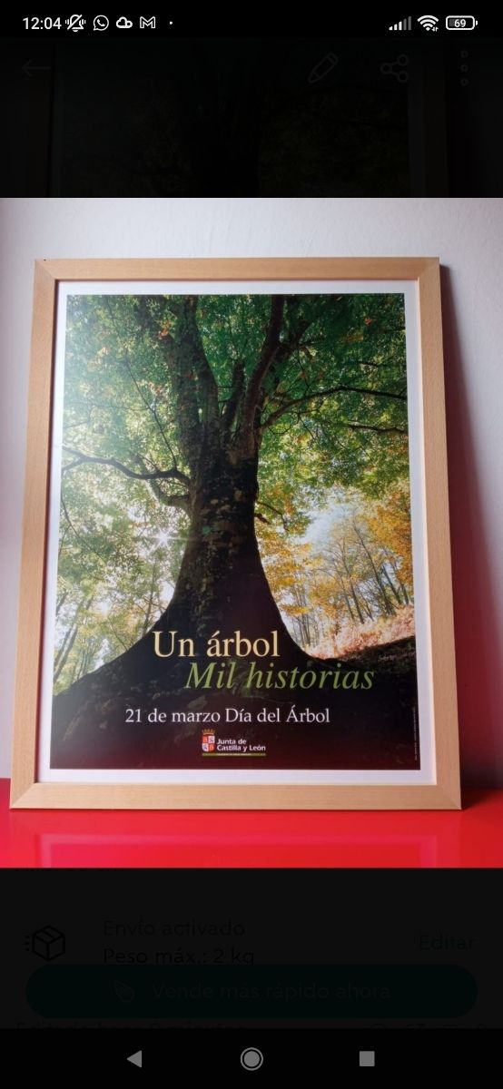 Cartel publicitario Un árbol, mil historias