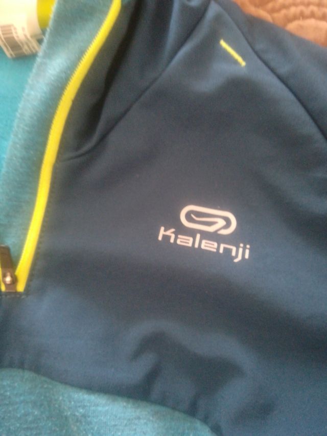 conjunto deportivo:pantalón corto talla 10 y sudad