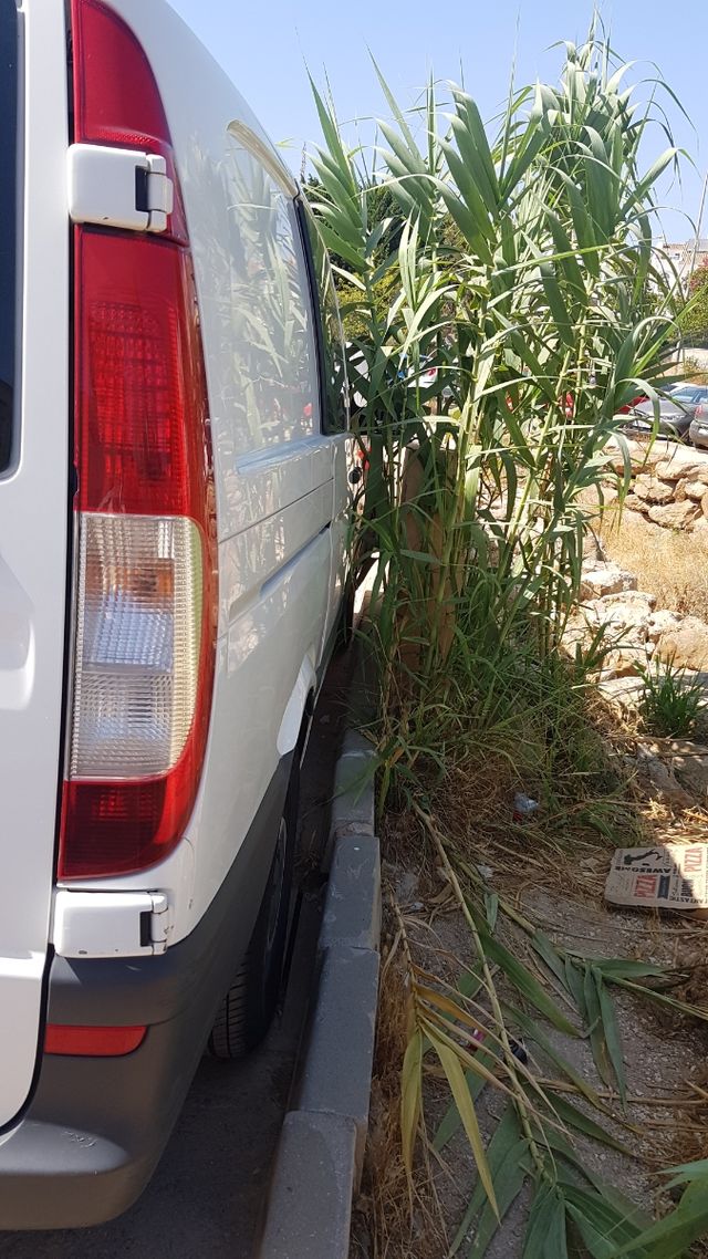 portes y mudanzas económicos